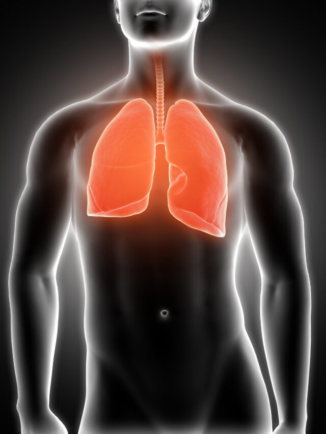 3D medical male figure with lungs highlighted